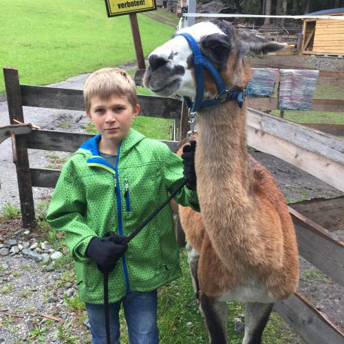Lama_05