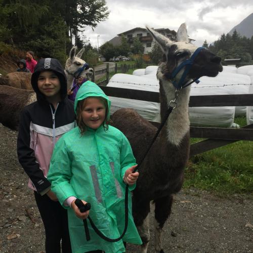 Lama_01