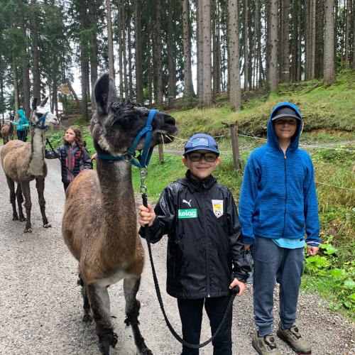 Lama_07