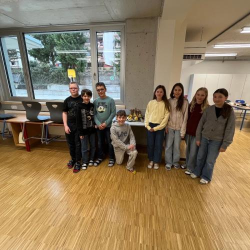 1a mit ihren Filzkücken