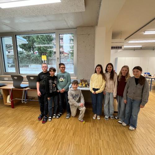 Bild 1a mit Filzkücken