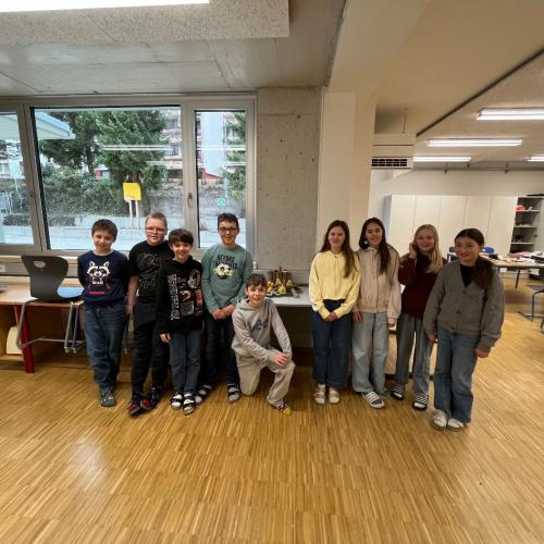 Bild 1a mit Filzkücken