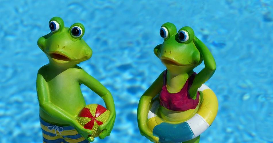 frog