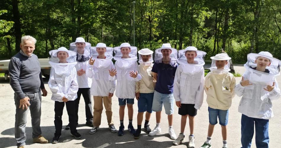 Bienen mit allen Sinnen erleben